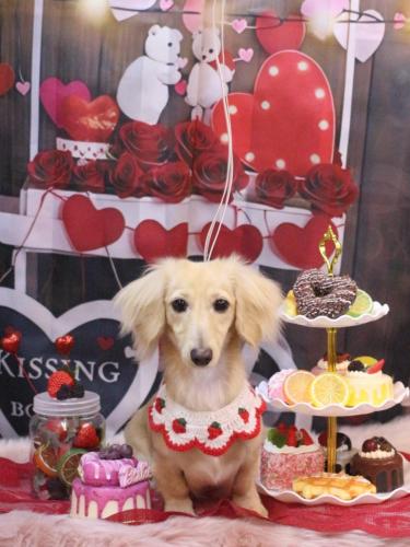 20250216こめちゃん